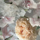Bijoux Bedding Collection