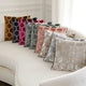 Manipur Decorative Pillows