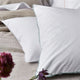 Ludlow Bedding Collection