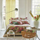 Thelma's Garden Fuchsia Bedding Collection