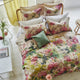 Thelma's Garden Fuchsia Bedding Collection