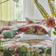 Thelma's Garden Fuchsia Bedding Collection