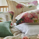 Thelma's Garden Fuchsia Bedding Collection