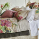Thelma's Garden Fuchsia Bedding Collection