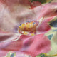 Thelma's Garden Fuchsia Bedding Collection