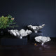 Vento Bloom Medium Bowl