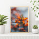 Orangecello Bambina Candle