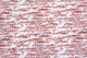 Sara Bedding Collection