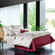 Gerbera Bedding Collection