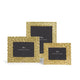 Palm Gold Frames