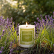 Lavender Lemongrass Candle