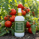 Tomato Vine Room Spray