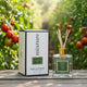 Tomato Vine Reed Diffuser