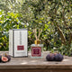 Wild Fig & Olive Reed Diffuser