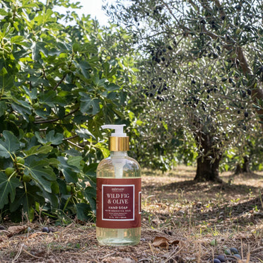 Wild Fig & Olive Hand Soap
