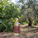 Wild Fig & Olive Hand Soap