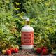 Strawberry & Fennel Hand & Body Lotion