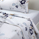 Eclipses Bedding Collection