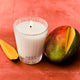 Something Tropical Classic Candle