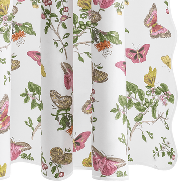 Baudin Butterfly Shower Curtains