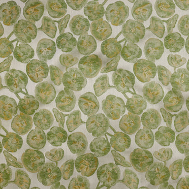 Euphorbia Bedding Collection