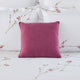 Pigment Decorative Pillows